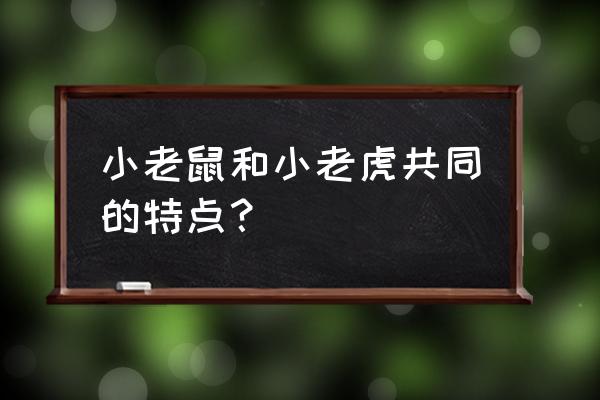 老虎和老鼠的图片大全大图 小老鼠和小老虎共同的特点？