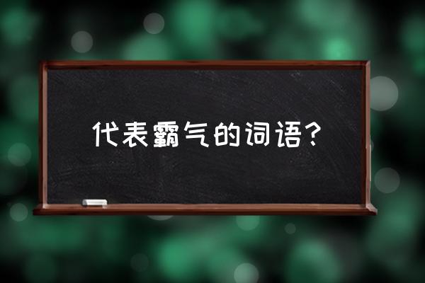 睥睨天下纵横四海 代表霸气的词语？