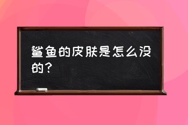 鲨鱼皮肤修复 鲨鱼的皮肤是怎么没的？