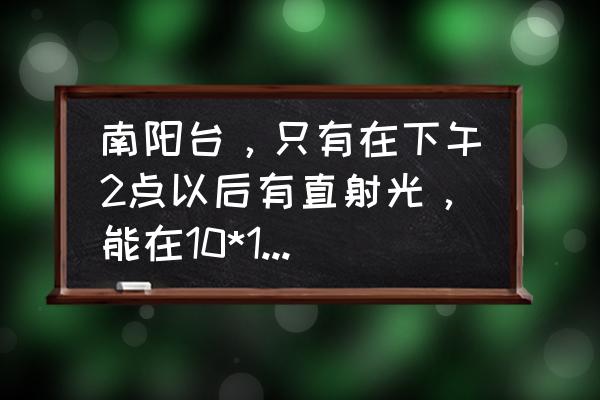 玉扇花的品种图鉴大全 南阳台，只有在下午2点以后有直射光，能在10*10方盆里能养的植物有哪些？