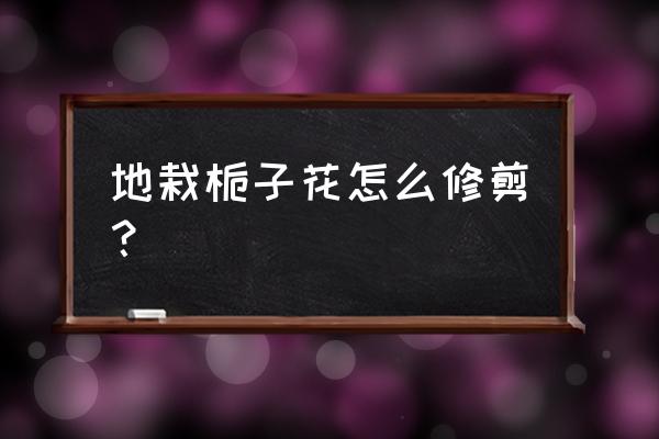 小叶栀子花的养殖方法和注意事项 地栽栀子花怎么修剪？