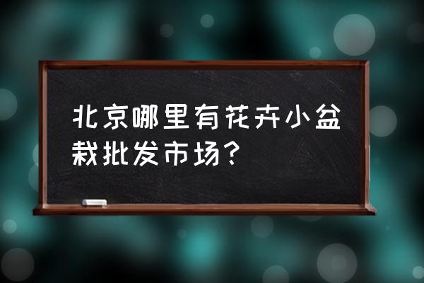 北京四环绿植批发市场 北京哪里有花卉小盆栽批发市场？