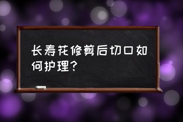 长寿花怎样修剪 长寿花修剪后切口如何护理？