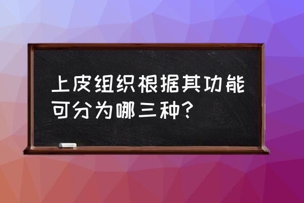 上皮细胞怎么来的 上皮组织根据其功能可分为哪三种？