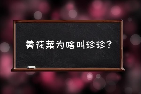 忘忧草为什么俗称黄花菜 黄花菜为啥叫珍珍？