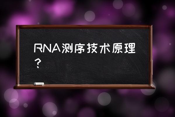 rna测序的主要步骤 RNA测序技术原理？