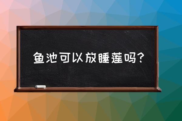 睡莲养在水缸里的步骤 鱼池可以放睡莲吗？