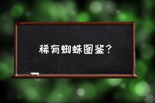 澳大利亚红背蜘蛛 稀有蜘蛛图鉴？