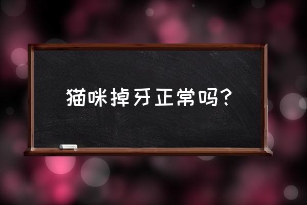 掉牙齿是什么预兆现实 猫咪掉牙正常吗？