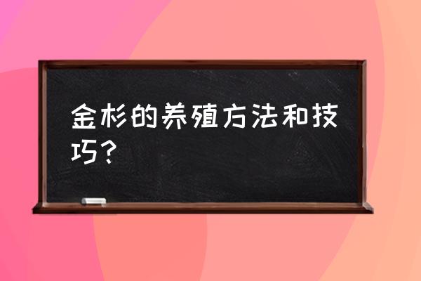 佛山天气三水区天气 金杉的养殖方法和技巧？