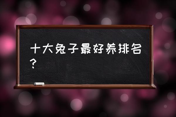 淘一兔淘宝信誉查询 十大兔子最好养排名？