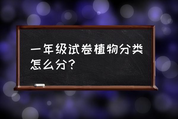 植物有几大类 一年级试卷植物分类怎么分？