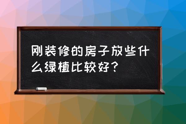 花卉都有哪些 刚装修的房子放些什么绿植比较好？