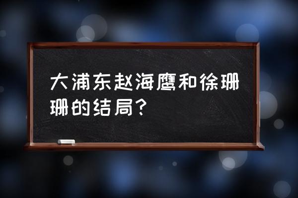 大浦东大结局 大浦东赵海鹰和徐珊珊的结局？