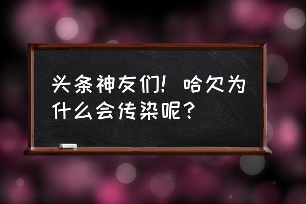 打哈欠会传染完整版 头条神友们！哈欠为什么会传染呢？