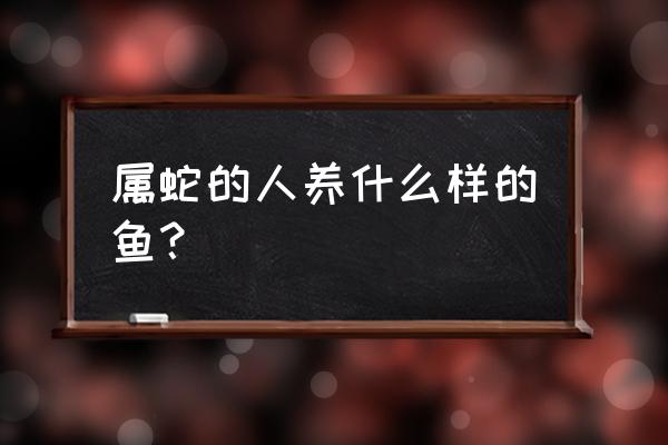 77年属蛇人今日财运 属蛇的人养什么样的鱼？