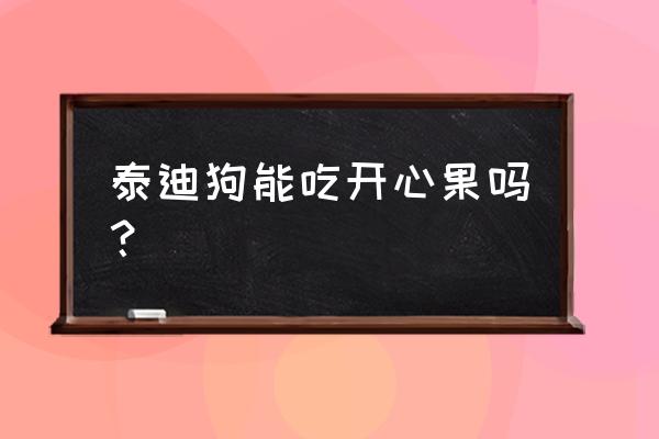 开心果价格一览表 泰迪狗能吃开心果吗？