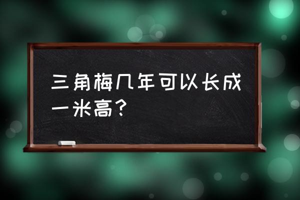 三角梅几月发芽 三角梅几年可以长成一米高？