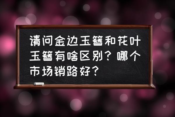 金边玉簪价格表 请问金边玉簪和花叶玉簪有啥区别？哪个市场销路好？