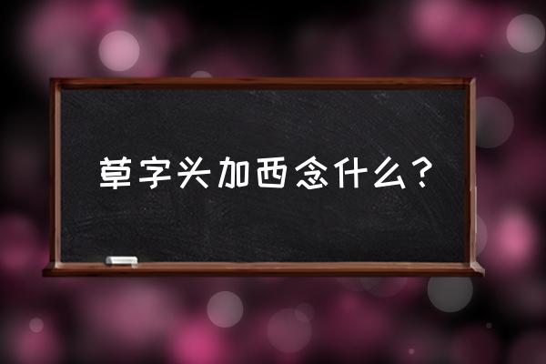 木加西念啥字 草字头加西念什么？