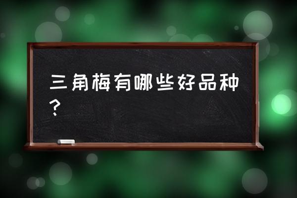 三角梅十大漂亮品种 三角梅有哪些好品种？