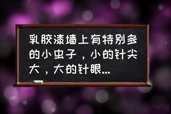 鸡毛掸子会长虫吗 乳胶漆墙上有特别多的小虫子，小的针尖大，大的针眼大，大的深色，小的浅色，怎么办？