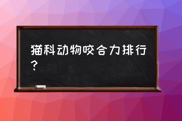 动物咬合力排名前26 猫科动物咬合力排行？