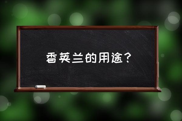 兰花的食用功效及药用价值 香荚兰的用途？