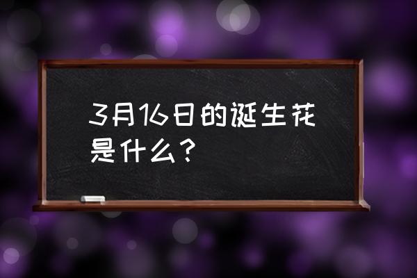 诞生花查询 3月16日的诞生花是什么？