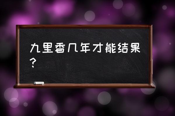 九里香小苗多少钱 九里香几年才能结果？