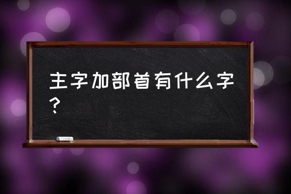 拄组词 主字加部首有什么字？