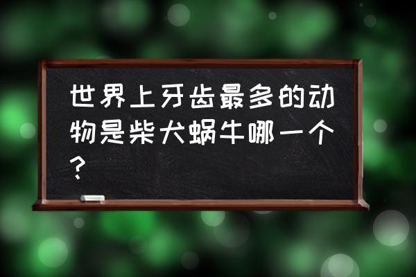 蜗牛有多少颗牙齿放大10000倍 世界上牙齿最多的动物是柴犬蜗牛哪一个？