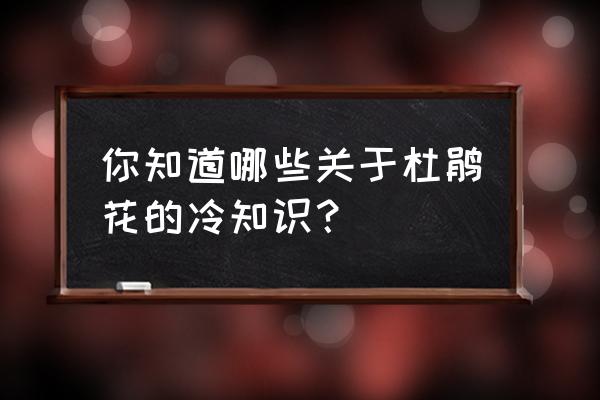 春季有什么小知识吗 你知道哪些关于杜鹃花的冷知识？