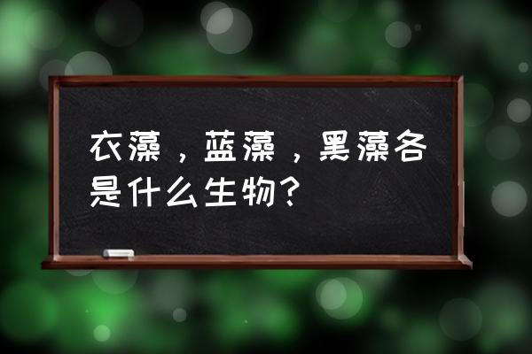 水绵和黑藻是原核还是真核 衣藻，蓝藻，黑藻各是什么生物？