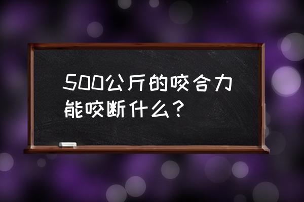 人的咬合力是多少公斤 500公斤的咬合力能咬断什么？