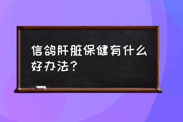 肝不好怎么调理 信鸽肝脏保健有什么好办法？