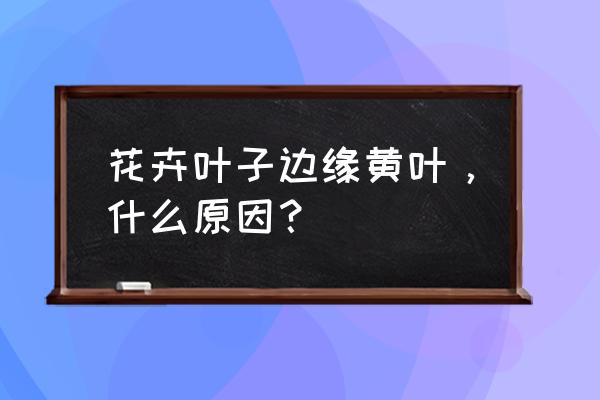 植物叶子发黄缺什么 花卉叶子边缘黄叶，什么原因？