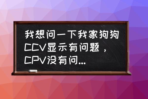 hv阳性在哪些情况下是错误的 我想问一下我家狗狗CCV显示有问题，CPV没有问题，这个跟细小病有关系吗？