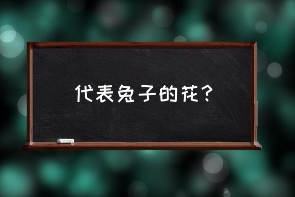 兔耳兰花价格多少钱一棵 代表兔子的花？