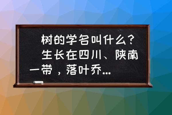 楸的拼音 欜树的学名叫什么？（生长在四川、陕南一带，落叶乔木，树种稀少）？