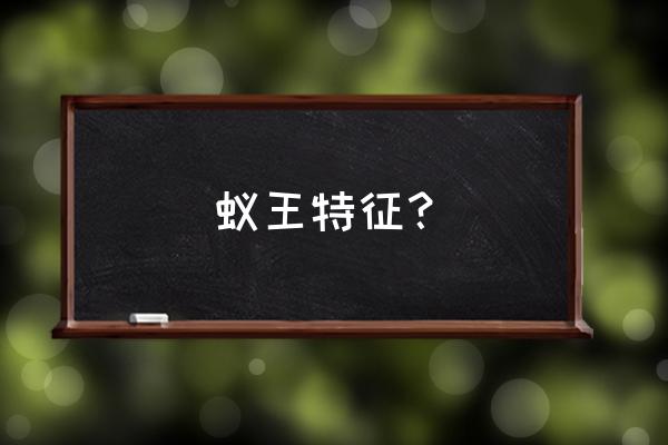 世界最大蚁后排名 蚁王特征？