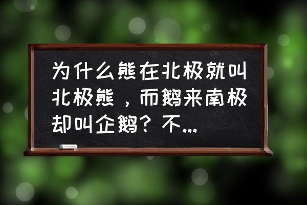 南极有熊吗 为什么熊在北极就叫北极熊，而鹅来南极却叫企鹅？不叫南极鹅呢？