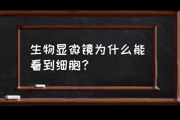 生物放大 生物显微镜为什么能看到细胞？