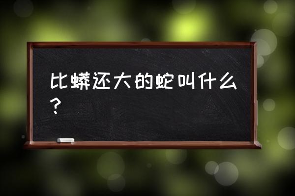 蚺和蟒的区别 比蟒还大的蛇叫什么？