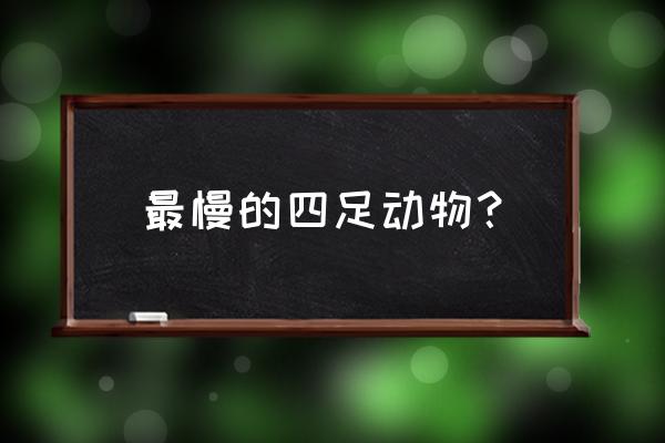 树懒为什么那么慢 最慢的四足动物？