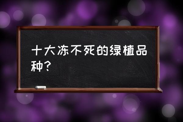 十大公认最好看玫瑰 十大冻不死的绿植品种？