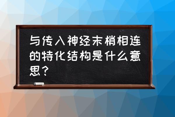 神经末梢是什么 与传入神经末梢相连的特化结构是什么意思？