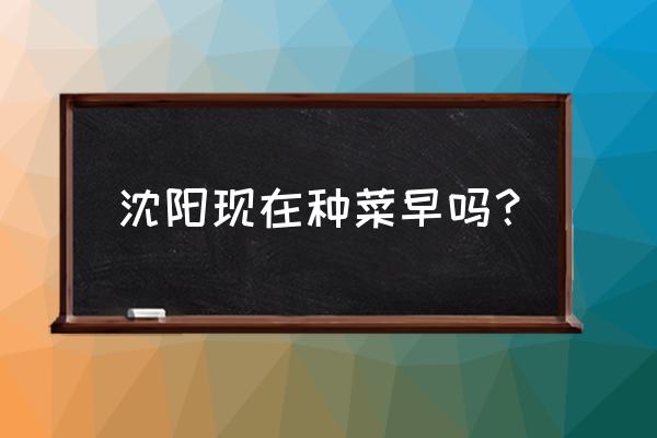 在沈阳种的地瓜几月份成熟 沈阳现在种菜早吗？