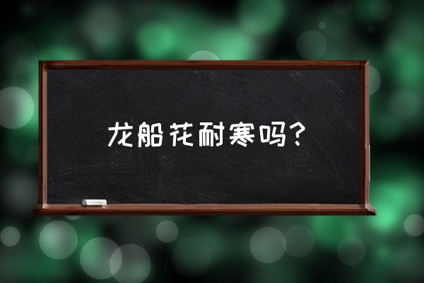 龙船花的养殖方法和注意事项 龙船花耐寒吗？