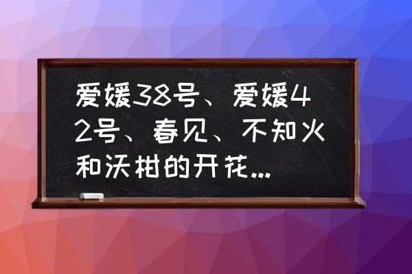 六月开放的花有多少种 爱媛38号、爱媛42号、春见、不知火和沃柑的开花时间分别是什么时候？